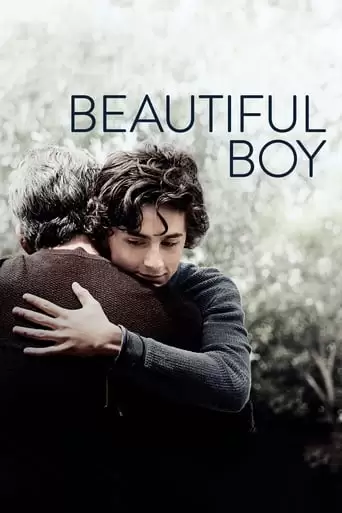 Beautiful Boy (2018)