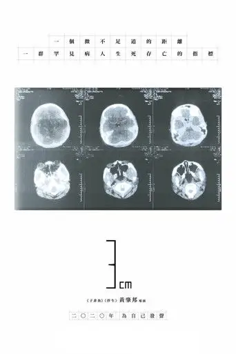 3cm (2019)