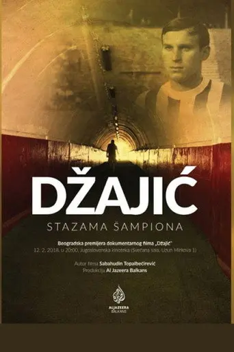Dzajic (2017)